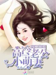 闪婚溺爱：高冷老公小萌妻